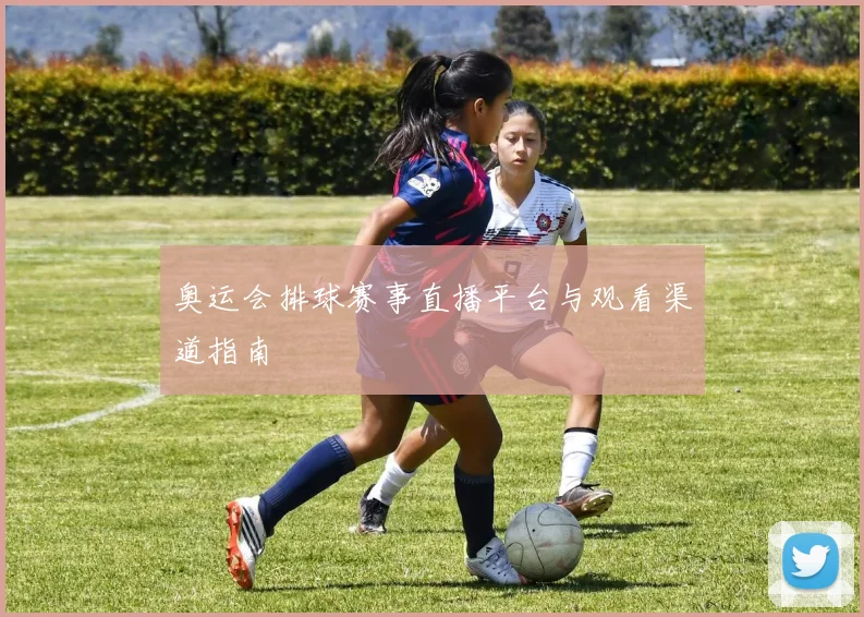 奥运会排球赛事直播平台与观看渠道指南